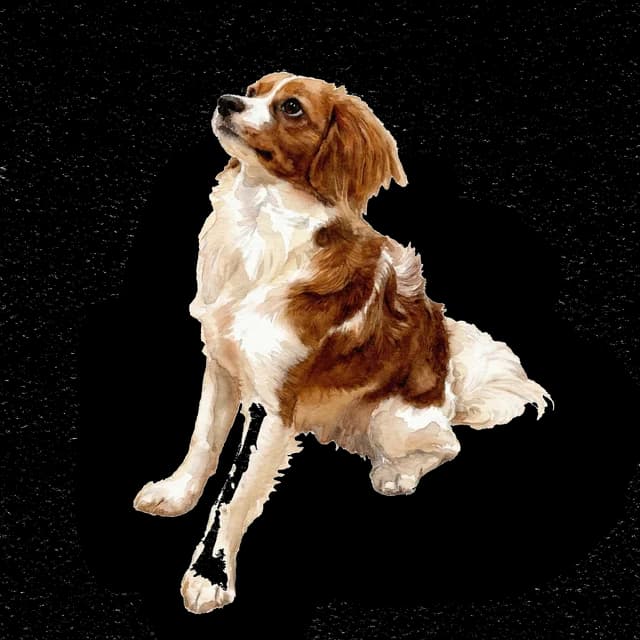 Itzy sitting illustration